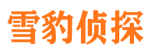 黄石港外遇出轨调查取证